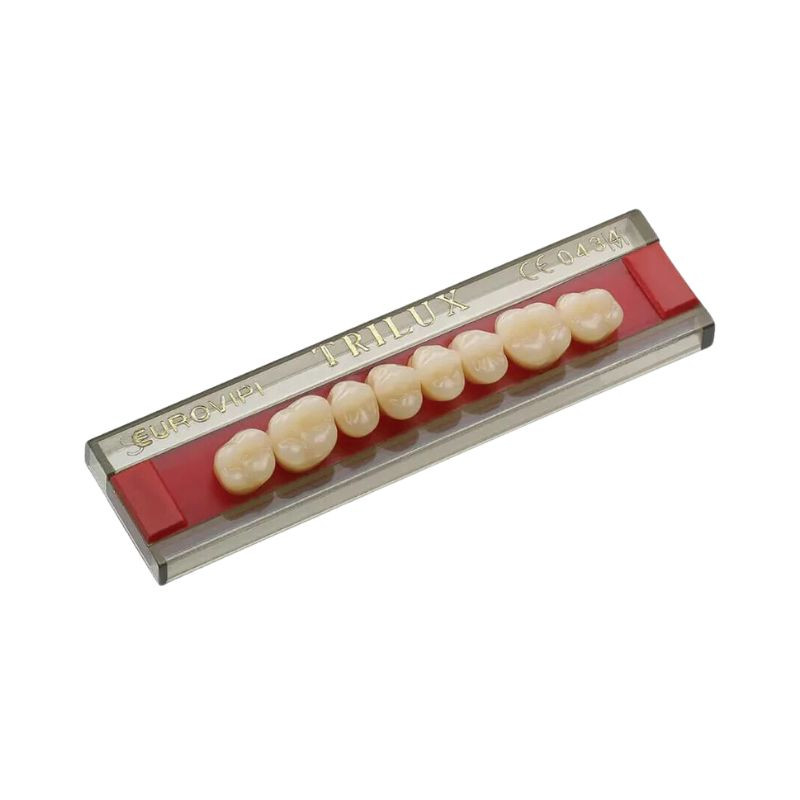 Dente em acrílico tripla prensagem posterior superior M2S cor 2A
